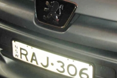 Custom Number Plate